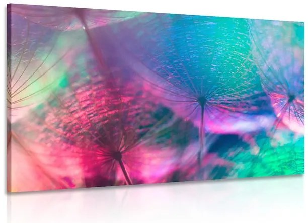 Stampa su tela – Soffione in colori pastello
