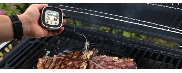 Termometro digitale per carne con sonda -20-300°C 2xAAA