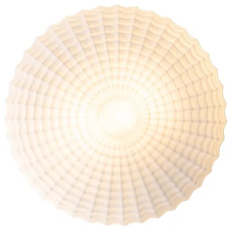 Plafoniera classica nera con vetro opale 35 cm IP44 - Nohmi