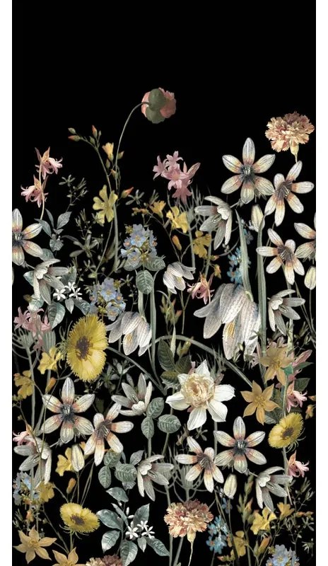 Fotomurale Fiori, nero