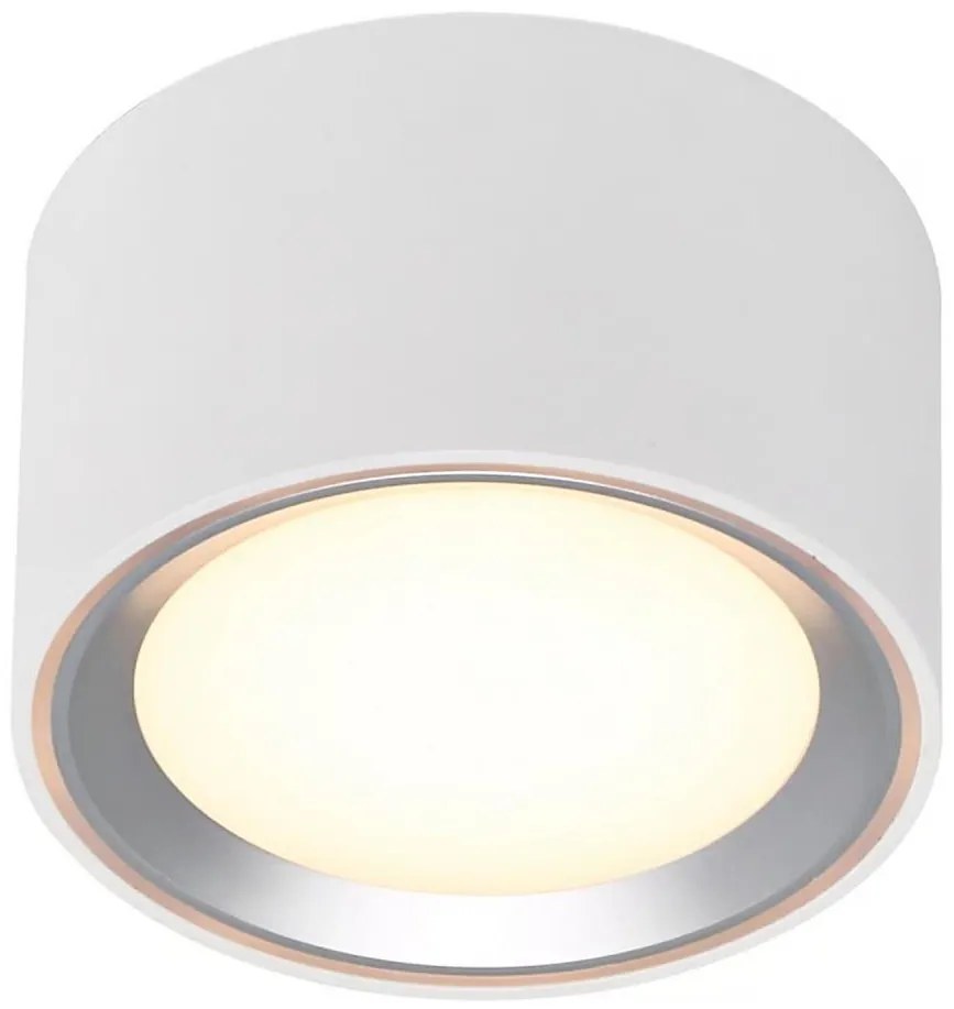 Nordlux - Plafoniera LED dimmerabile FALLON LED/5,5W/230V
