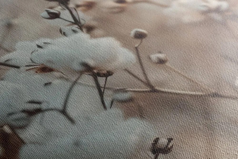 Stampa su tela – Pianta di cotone