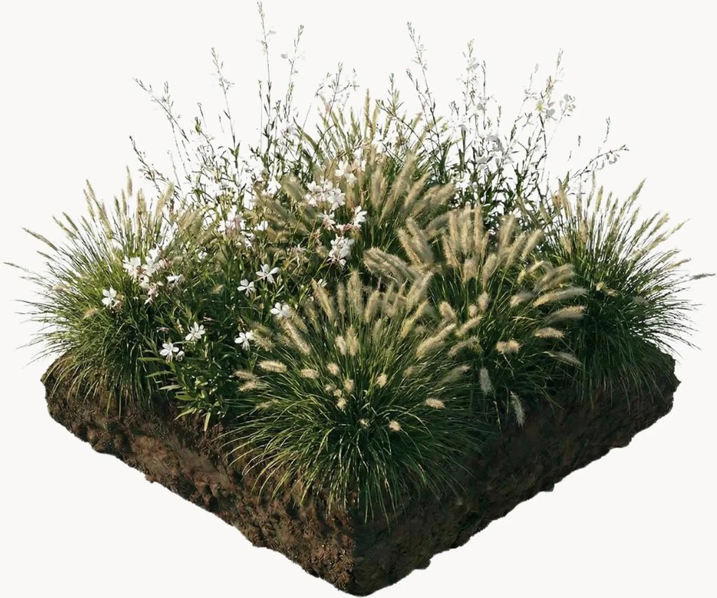 Set di 9 piante perenni da aiuola Luna Perennial