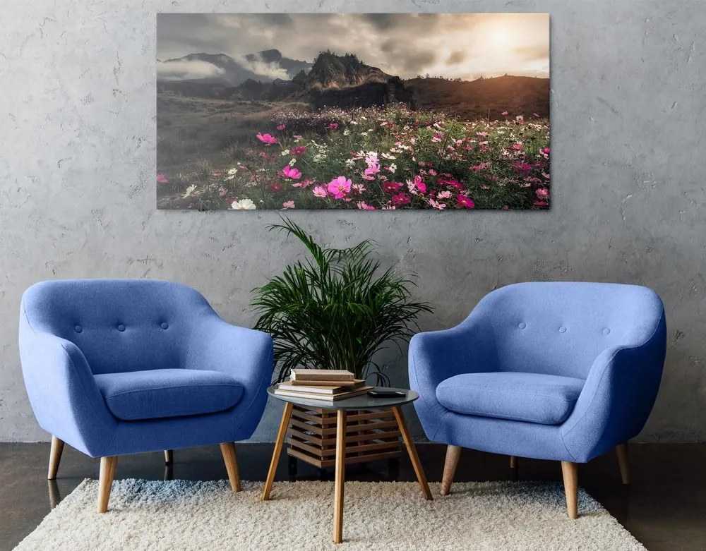 Quadro su tela – Prato di fiori in fiore