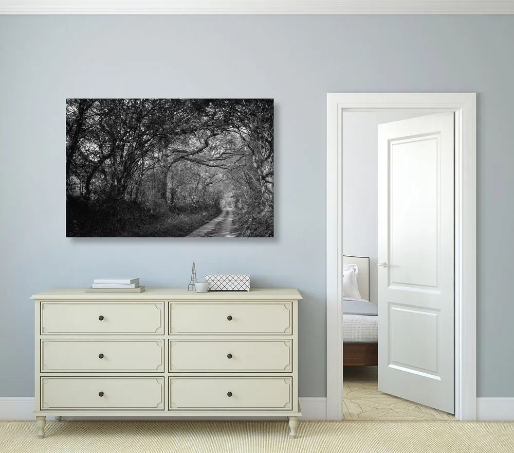 Stampa su tela – Foresta in bianco e nero