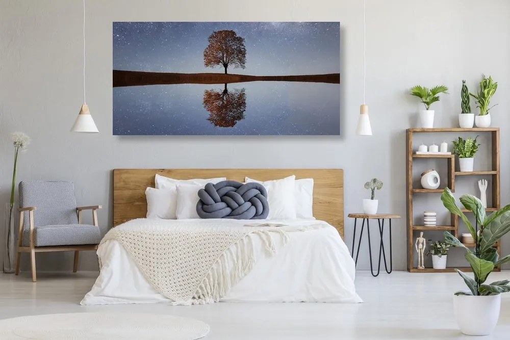 Quadro su tela – Cielo stellato sopra un albero solitario