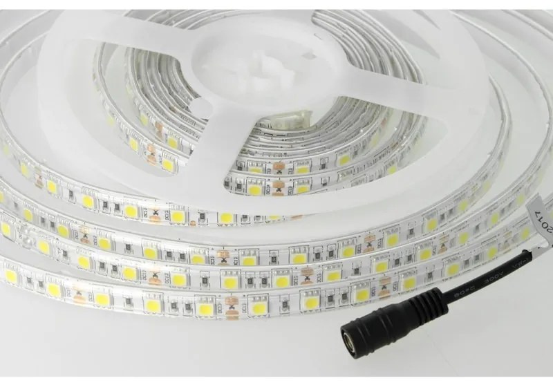 Bobina Led 300 SMD 5050 12V 10,8W/M Freddo 6400K IP65 Impermeabile 5 Metri Unguente Di Silicone Incluso SKU-212148