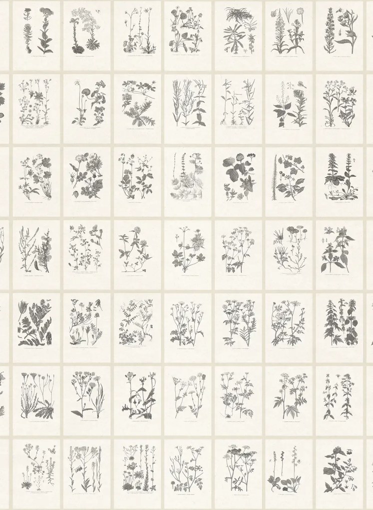 Sandberg Carta da parati panoramica Botanica - Graphite