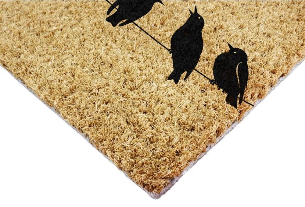 Zerbino in fibre di cocco 60x90 cm Birds On a Wire – Artsy Doormats