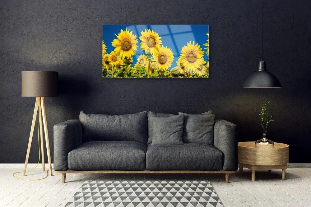 Quadro in vetro Pianta di girasoli 100x50 cm