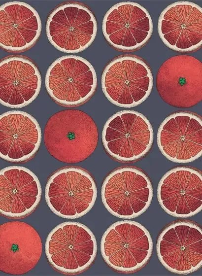 Cole & Son Carta da parati Arance - Blood Orange and Ink