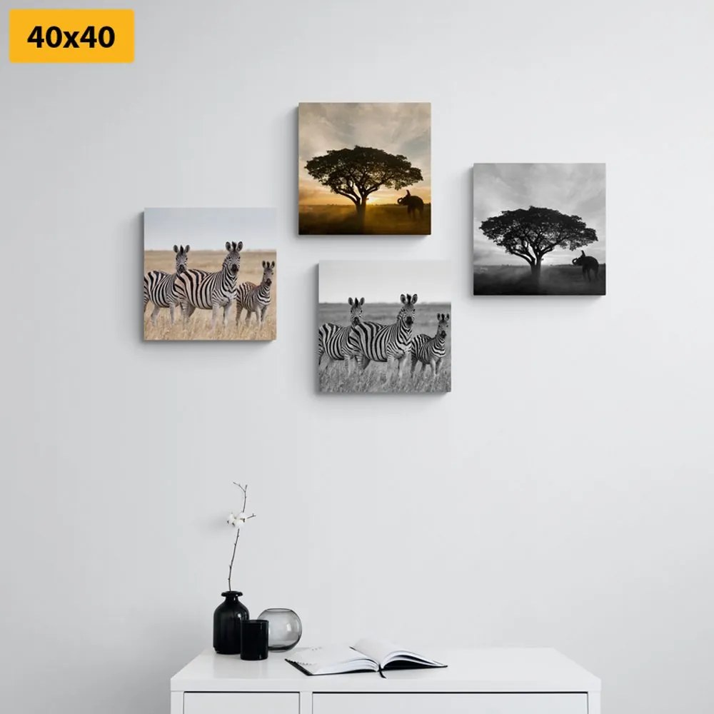 Set di quadri – Animali che vivono nella Savana