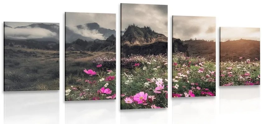 Quadri 5 pezzi – Prato di fiori in fiore