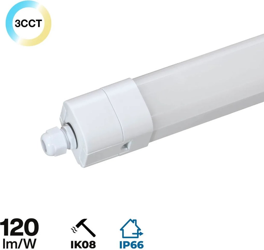 Plafoniera LED Stagna 150cm 48W 120lm/w IK08 IP66 CCT Colore Bianco Variabile CCT