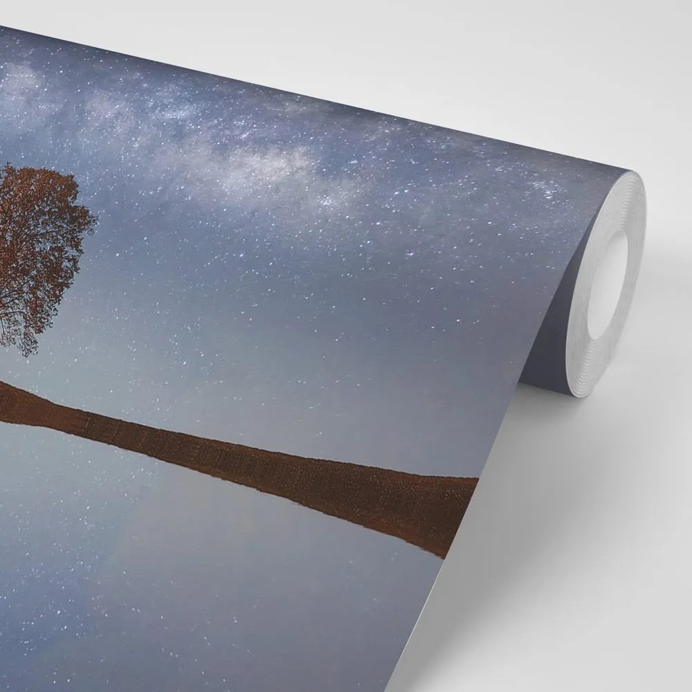 Carta da parati autoadesiva – Cielo stellato sopra l'albero solitario