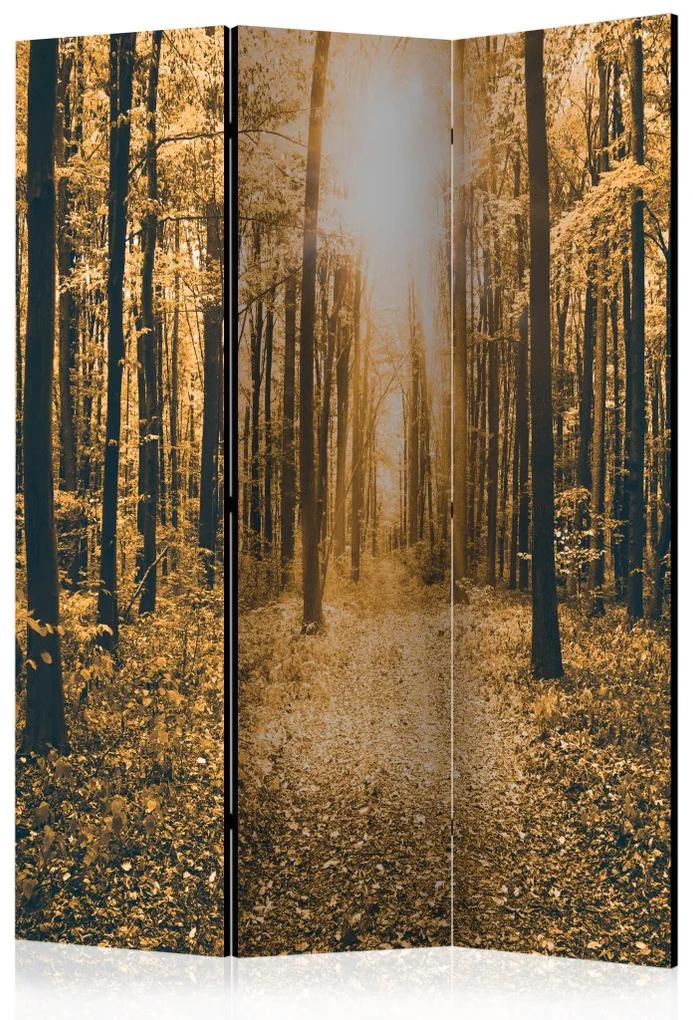 Paravento Luce Magica (3-parti) - paesaggio autunnale tra gli alberi