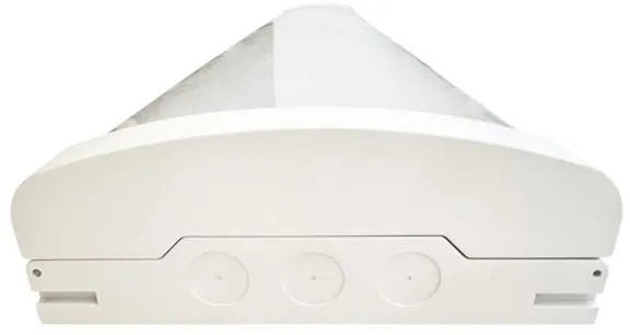 LED Dimmerabile fluorescente chiaro LED/35W/44W/52W/60W/230V 4000K 120 cm