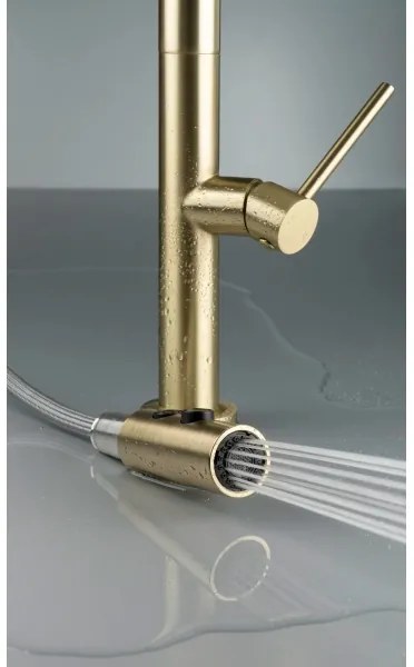 Deante BQO_R72M - Rubinetto lavello con doccetta estraibile OLFATO pettinato oro