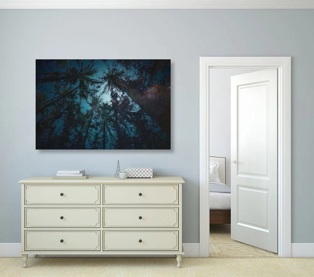 Quadro su tela – Notte nella foresta