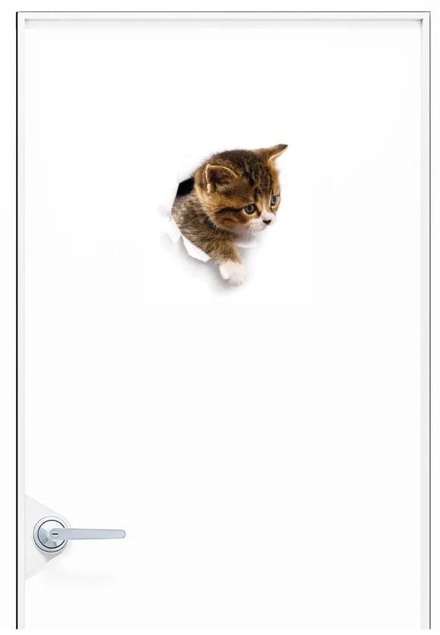 Adesivo murale Gatto che si nasconde - Ambiance