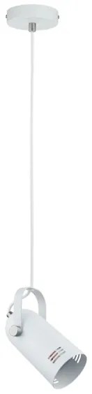 Paulmann 79767 - LED RGBW 1xE27/9W Lampada a sospensione su cavo LAVEA 230V bianco