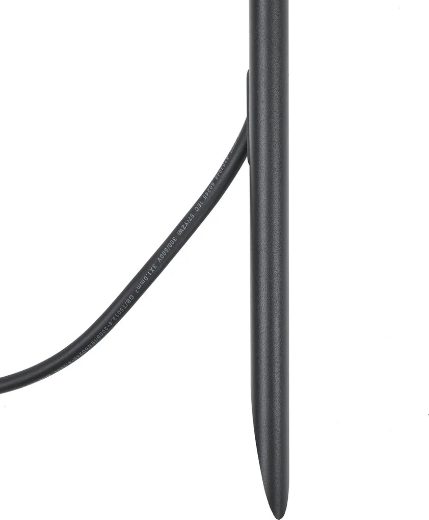 Faretto a picchetto nero 40cm incl. LED regolabile IP65 incl. cavo e spina - Carl