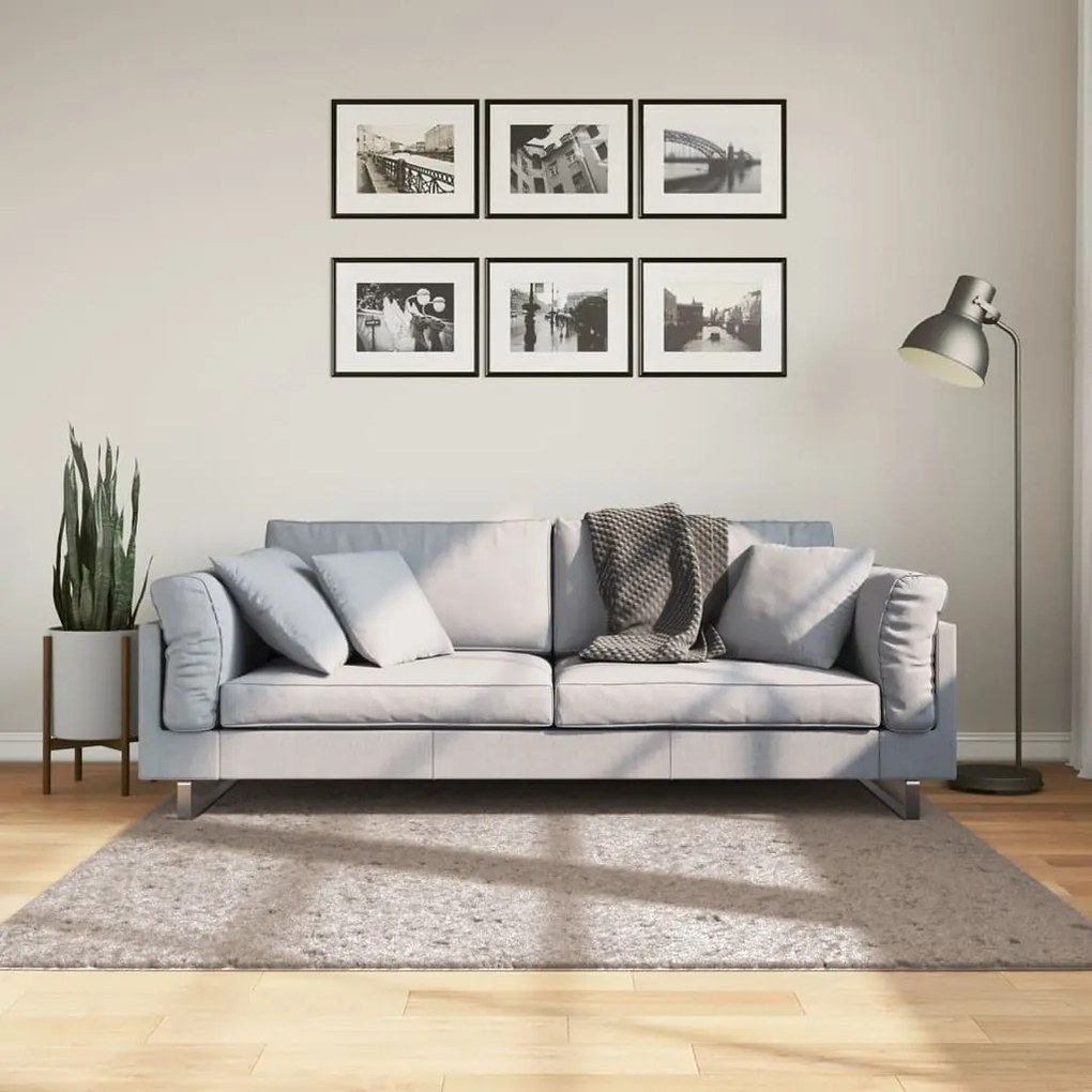 Tappeto Shaggy Pamplona A Pelo Lungo Moderno Beige 160x160 Cm /