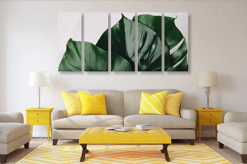 Quadri 5 pezzi – Foglia di monstera