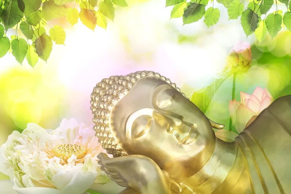 Carta da parati autoadesiva – Buddha dormiente