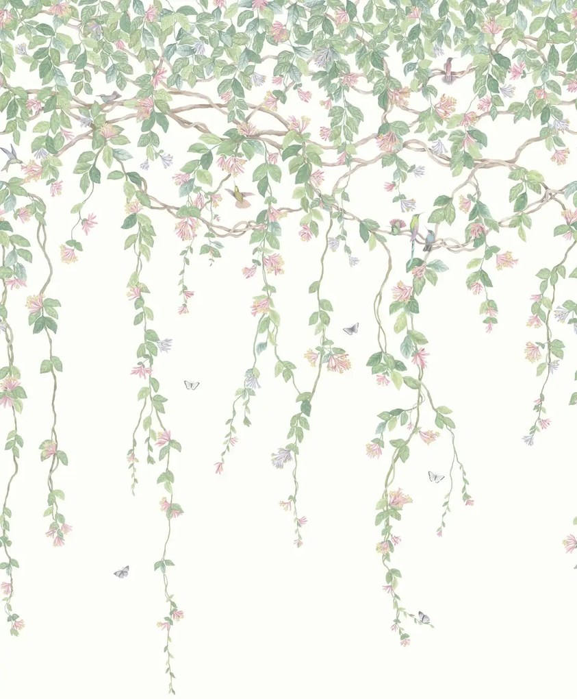 Cole & Son Carta da parati Hummingbirds Flora - Blush Sage/ Mulberry on Cream