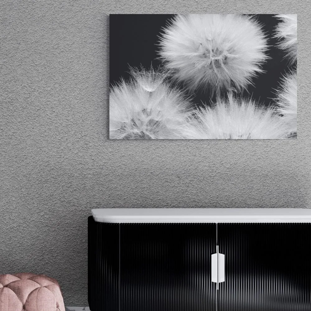 Quadro su tela – Dente di leone in bianco e nero