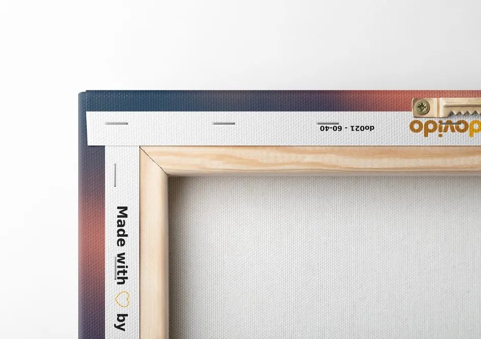 Quadro su tela – Margherite rosa delicate