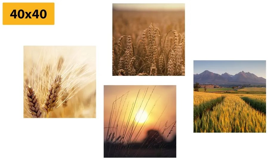 Set di quadri – Incanto della natura