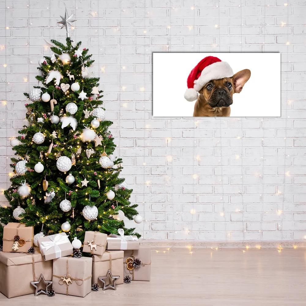 Quadro acrilico Bulldog cane di Natale 100x50 cm