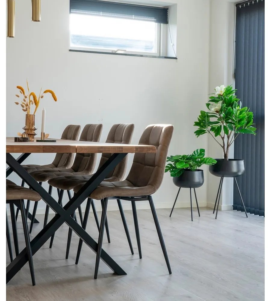 Sedie da pranzo in set marrone chiaro 2 pz Moseby – Bonami Essentials