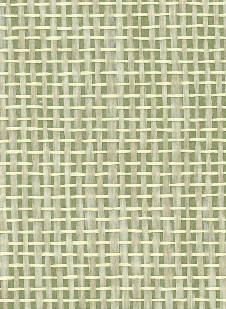 Osborne & Little Carta da parati Papyrus - Olive