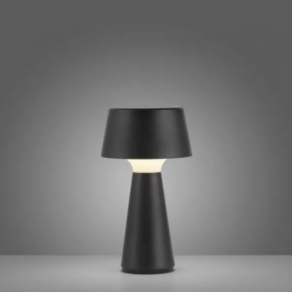 JUST LIGHT. 19260-18 - Lampada LED dimmerabile da esterno ABERA LED/3W/3,7V IP54