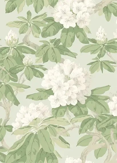 Cole & Son Carta da parati Bourlie - Duck Egg