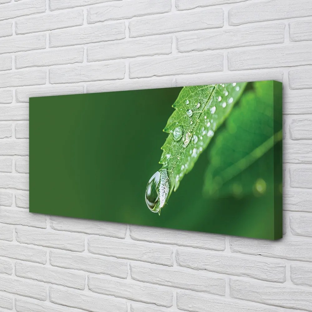 Quadro su tela Lasciare la foglia d'acqua 100x50 cm