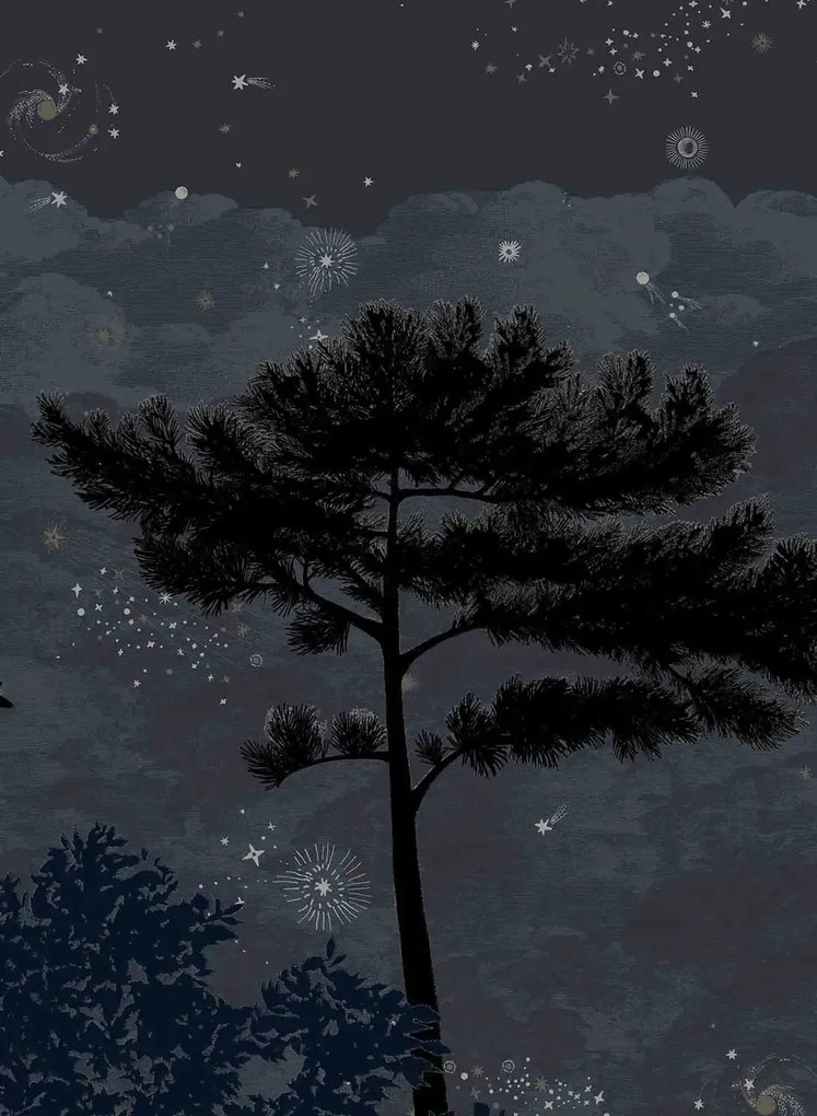 Isidore Leroy Carta da parati panoramica Eclipse Nocturne - Panel A