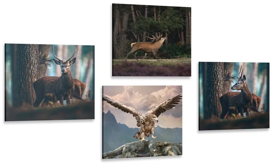 Set di quadri – Bellezza degli animali del bosco