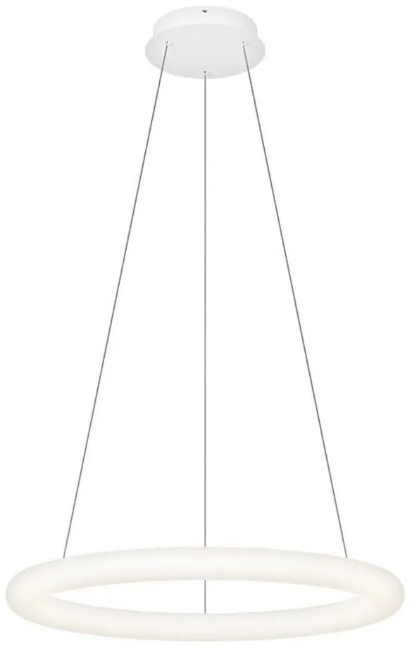 Top Light -LED Lampada a sospensione dimmerabile su cavo RINGO LED/40W/230V 3000-6500K bianca+telecomando