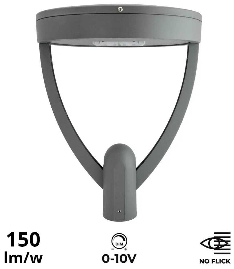 Lampione Stradale 65W, Dual Gray,1-10V, Programmabile,driver Philips Colore  Bianco Caldo 2.700K