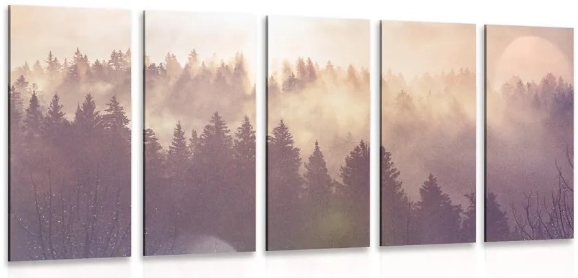 Quadri 5 pezzi – Nebbia sulla foresta