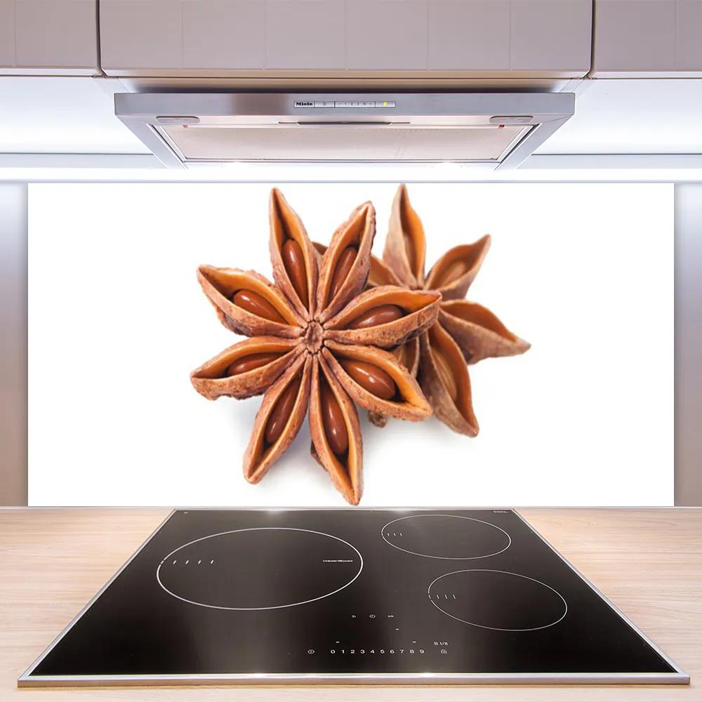 Pannello paraschizzi cucina Condimento all'anice stellato 100x50 cm