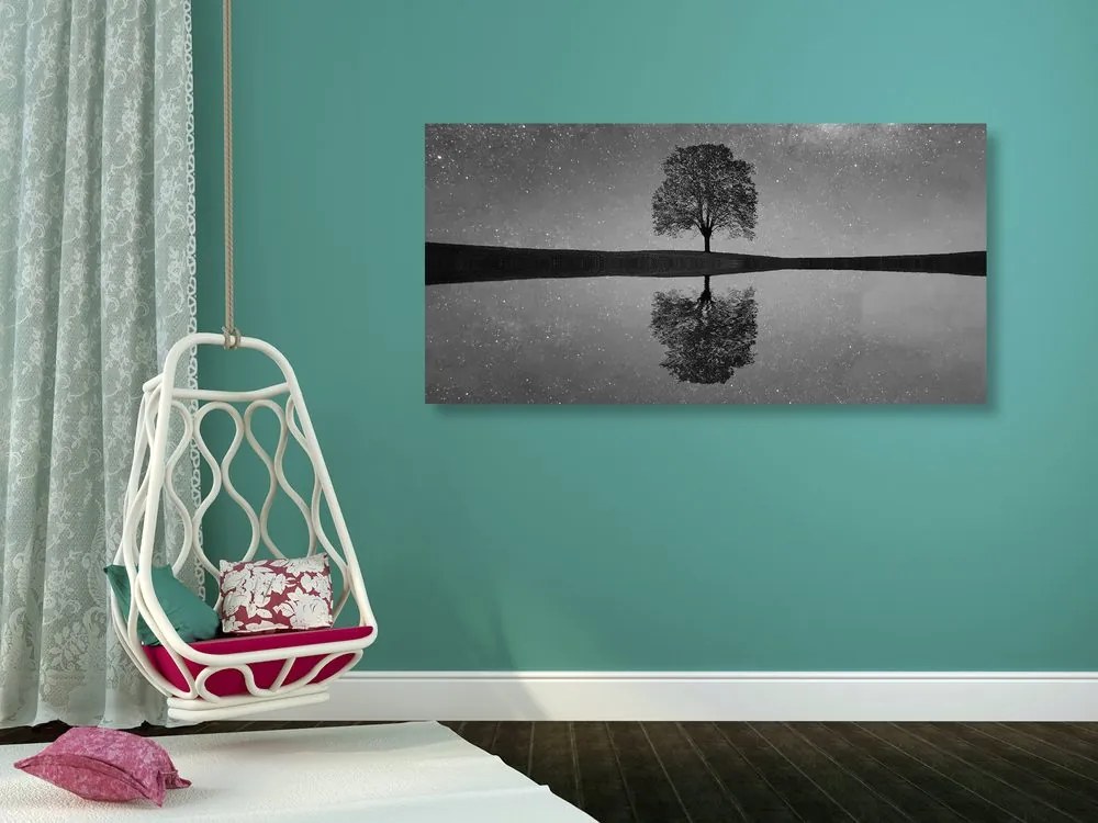 Quadro su tela – Cielo stellato sopra un albero solitario in bianco e nero