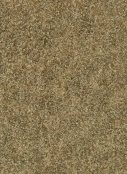 Zoffany Carta da parati Shagreen - Gold