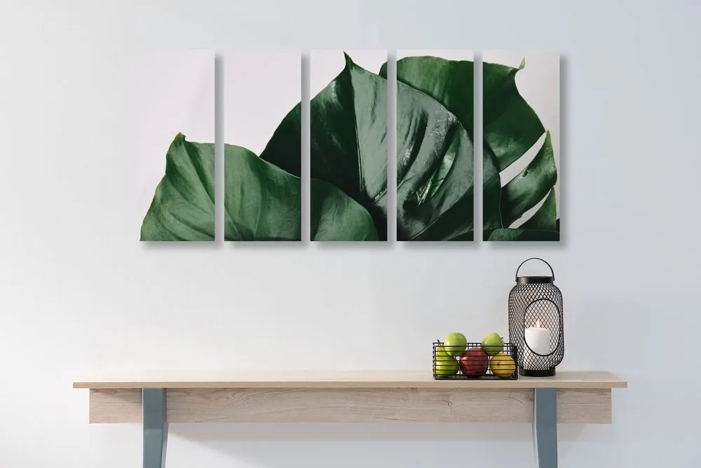 Quadri 5 pezzi – Foglia di monstera