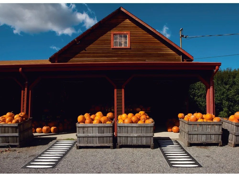 Passatoia da interno/esterno nera 70x150 cm Ella Black – Pappelina