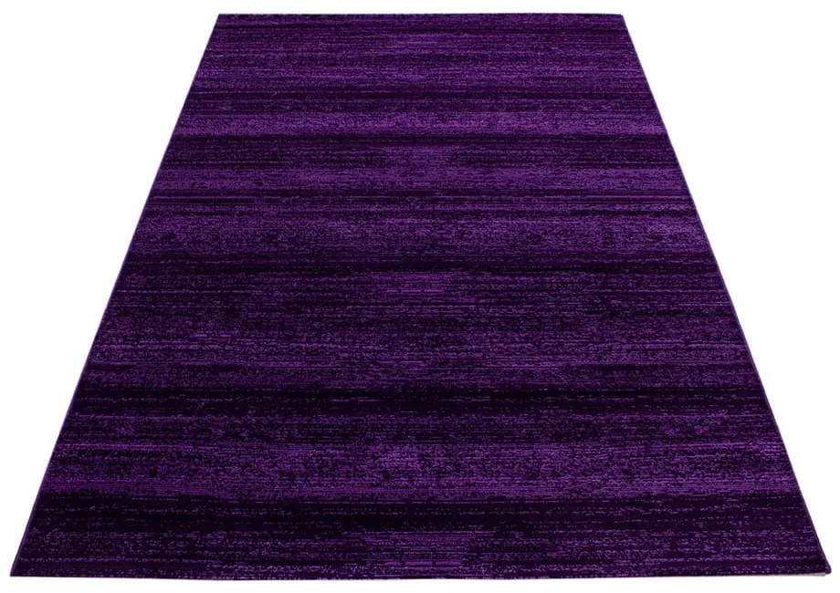 Tappeto viola scuro 160x230 cm Plus - Ayyildiz Carpets